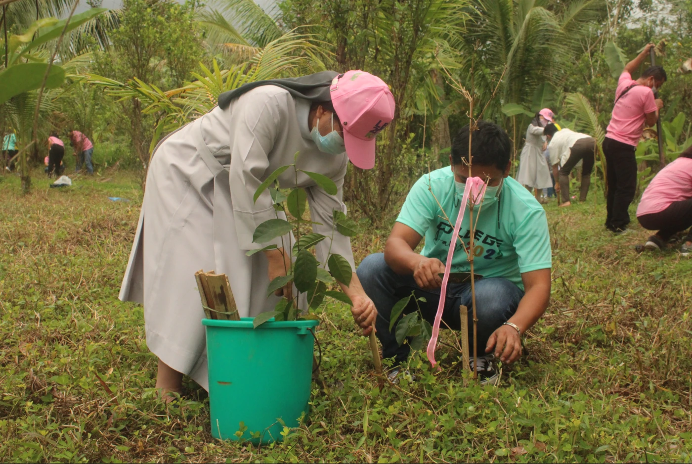 Tree Planting